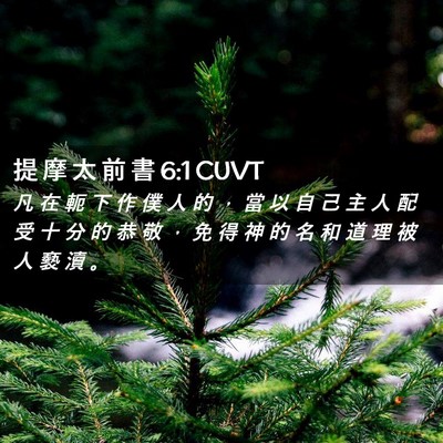 Picture 02 - 提 摩 太 前 書 6:1 CUVT - 凡 在 軛 下 作 僕 人 的 ， 當 以 自 - Bible Verse Picture