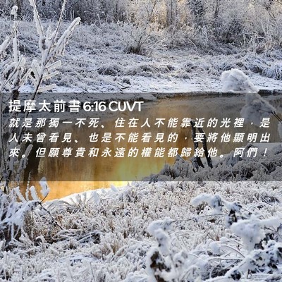 Picture 02 - 提 摩 太 前 書 6:16 CUVT - 就 是 那 獨 一 不 死 、 住 在 人 不 - Bible Verse Picture
