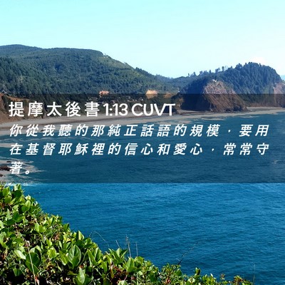 Picture 02 - 提 摩 太 後 書 1:13 CUVT - 你 從 我 聽 的 那 純 正 話 語 的 規 - Bible Verse Picture