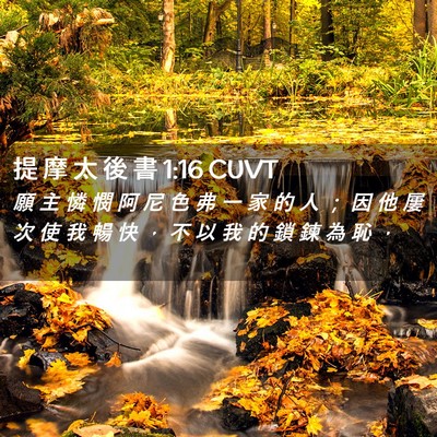Picture 02 - 提 摩 太 後 書 1:16 CUVT - 願 主 憐 憫 阿 尼 色 弗 一 家 的 人 - Bible Verse Picture