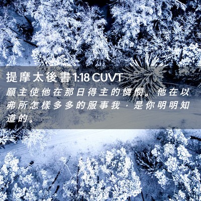 Picture 02 - 提 摩 太 後 書 1:18 CUVT - 願 主 使 他 在 那 日 得 主 的 憐 憫 - Bible Verse Picture