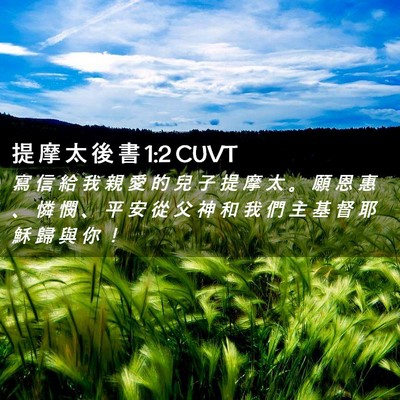 Picture 02 - 提 摩 太 後 書 1:2 CUVT - 寫 信 給 我 親 愛 的 兒 子 提 摩 太 - Bible Verse Picture