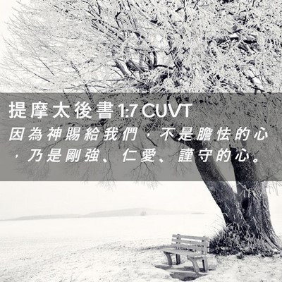Picture 02 - 提 摩 太 後 書 1:7 CUVT - 因 為 神 賜 給 我 們 ， 不 是 膽 怯 - Bible Verse Picture