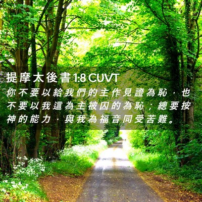 Picture 02 - 提 摩 太 後 書 1:8 CUVT - 你 不 要 以 給 我 們 的 主 作 見 證 - Bible Verse Picture