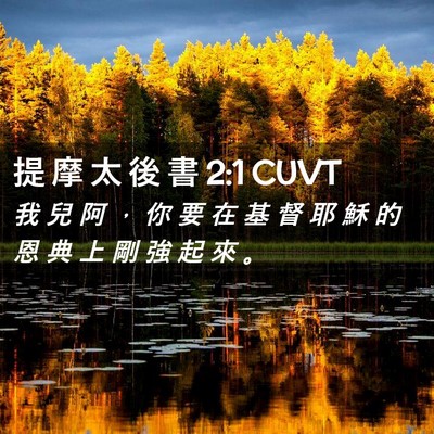 Picture 02 - 提 摩 太 後 書 2:1 CUVT - 我 兒 阿 ， 你 要 在 基 督 耶 穌 的 - Bible Verse Picture