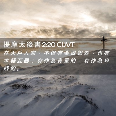 Picture 02 - 提 摩 太 後 書 2:20 CUVT - 在 大 戶 人 家 ， 不 但 有 金 器 銀 - Bible Verse Picture