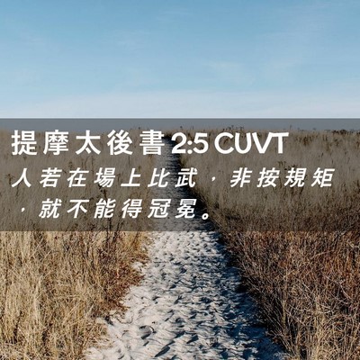 Picture 02 - 提 摩 太 後 書 2:5 CUVT - 人 若 在 場 上 比 武 ， 非 按 規 矩 - Bible Verse Picture