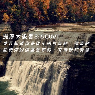 Picture 02 - 提 摩 太 後 書 3:15 CUVT - 並 且 知 道 你 是 從 小 明 白 聖 經 - Bible Verse Picture