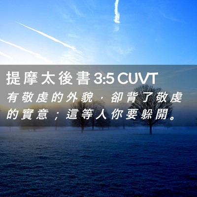Picture 02 - 提 摩 太 後 書 3:5 CUVT - 有 敬 虔 的 外 貌 ， 卻 背 了 敬 虔 - Bible Verse Picture