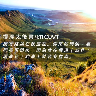 Picture 02 - 提 摩 太 後 書 4:11 CUVT - 獨 有 路 加 在 我 這 裡 。 你 來 的 - Bible Verse Picture