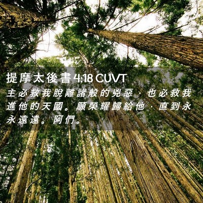 Picture 02 - 提 摩 太 後 書 4:18 CUVT - 主 必 救 我 脫 離 諸 般 的 兇 惡 ， - Bible Verse Picture