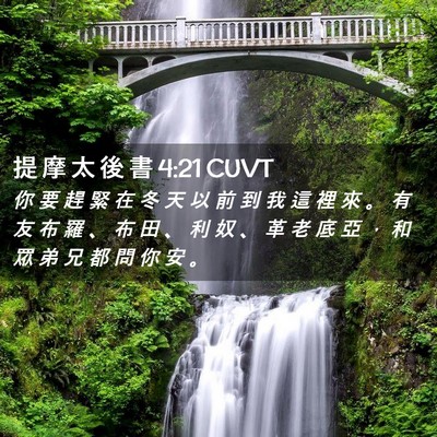 Picture 02 - 提 摩 太 後 書 4:21 CUVT - 你 要 趕 緊 在 冬 天 以 前 到 我 這 - Bible Verse Picture