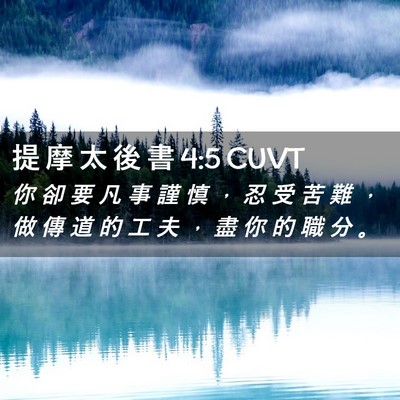 Picture 02 - 提 摩 太 後 書 4:5 CUVT - 你 卻 要 凡 事 謹 慎 ， 忍 受 苦 難 - Bible Verse Picture