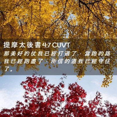 Picture 02 - 提 摩 太 後 書 4:7 CUVT - 那 美 好 的 仗 我 已 經 打 過 了 ， - Bible Verse Picture