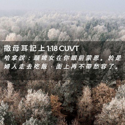 Picture 02 - 撒 母 耳 記 上 1:18 CUVT - 哈 拿 說 ： 願 婢 女 在 你 眼 前 蒙 - Bible Verse Picture