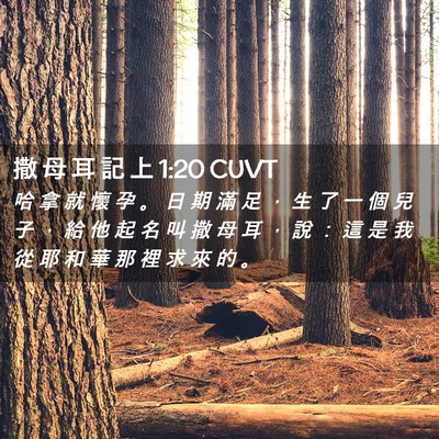 Picture 02 - 撒 母 耳 記 上 1:20 CUVT - 哈 拿 就 懷 孕 。 日 期 滿 足 ， 生 - Bible Verse Picture