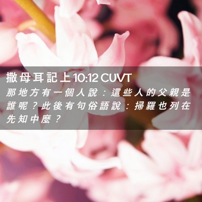 Picture 02 - 撒 母 耳 記 上 10:12 CUVT - 那 地 方 有 一 個 人 說 ： 這 些 人 - Bible Verse Picture