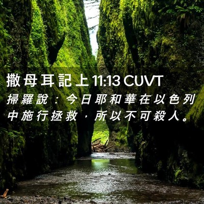 Picture 02 - 撒 母 耳 記 上 11:13 CUVT - 掃 羅 說 ： 今 日 耶 和 華 在 以 色 - Bible Verse Picture