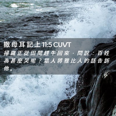 Picture 02 - 撒 母 耳 記 上 11:5 CUVT - 掃 羅 正 從 田 間 趕 牛 回 來 ， 問 - Bible Verse Picture