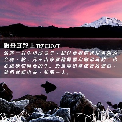 Picture 02 - 撒 母 耳 記 上 11:7 CUVT - 他 將 一 對 牛 切 成 塊 子 ， 託 付 - Bible Verse Picture