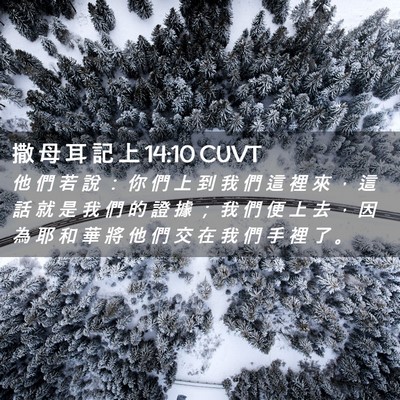 Picture 02 - 撒 母 耳 記 上 14:10 CUVT - 他 們 若 說 ： 你 們 上 到 我 們 這 - Bible Verse Picture