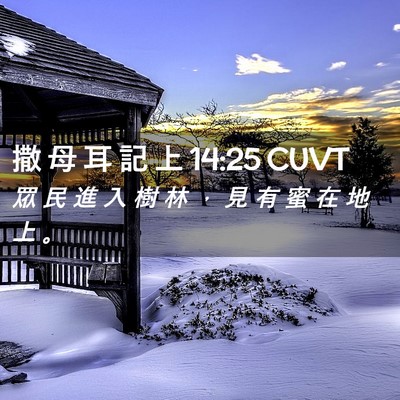 Picture 02 - 撒 母 耳 記 上 14:25 CUVT - 眾 民 進 入 樹 林 ， 見 有 蜜 在 地 - Bible Verse Picture