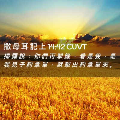 Picture 02 - 撒 母 耳 記 上 14:42 CUVT - 掃 羅 說 ： 你 們 再 掣 籤 ， 看 是 - Bible Verse Picture