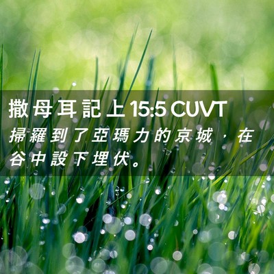 Picture 02 - 撒 母 耳 記 上 15:5 CUVT - 掃 羅 到 了 亞 瑪 力 的 京 城 ， 在 - Bible Verse Picture