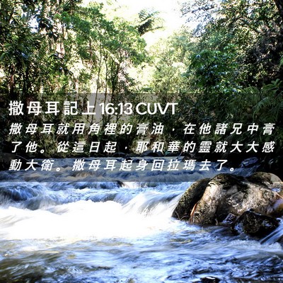 Picture 02 - 撒 母 耳 記 上 16:13 CUVT - 撒 母 耳 就 用 角 裡 的 膏 油 ， 在 - Bible Verse Picture