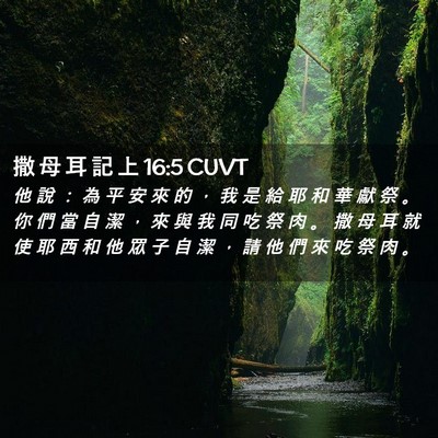Picture 02 - 撒 母 耳 記 上 16:5 CUVT - 他 說 ： 為 平 安 來 的 ， 我 是 給 - Bible Verse Picture