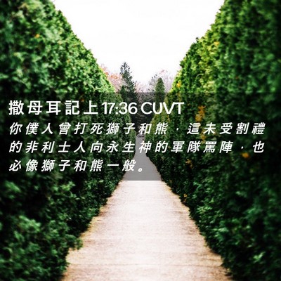 Picture 02 - 撒 母 耳 記 上 17:36 CUVT - 你 僕 人 曾 打 死 獅 子 和 熊 ， 這 - Bible Verse Picture