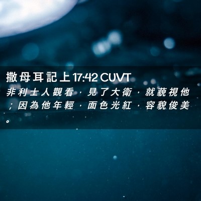 Picture 02 - 撒 母 耳 記 上 17:42 CUVT - 非 利 士 人 觀 看 ， 見 了 大 衛 ， - Bible Verse Picture