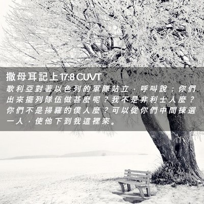 Picture 02 - 撒 母 耳 記 上 17:8 CUVT - 歌 利 亞 對 著 以 色 列 的 軍 隊 站 - Bible Verse Picture