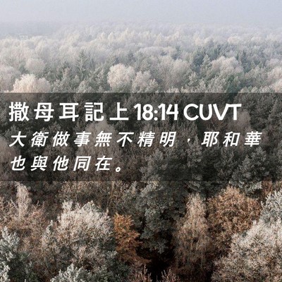 Picture 02 - 撒 母 耳 記 上 18:14 CUVT - 大 衛 做 事 無 不 精 明 ， 耶 和 華 - Bible Verse Picture