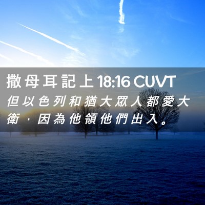 Picture 02 - 撒 母 耳 記 上 18:16 CUVT - 但 以 色 列 和 猶 大 眾 人 都 愛 大 - Bible Verse Picture