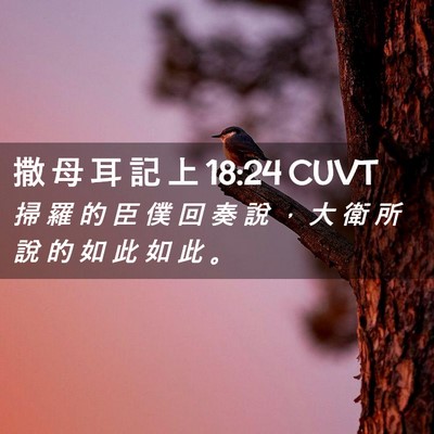 Picture 02 - 撒 母 耳 記 上 18:24 CUVT - 掃 羅 的 臣 僕 回 奏 說 ， 大 衛 所 - Bible Verse Picture