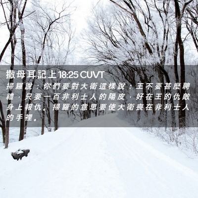 Picture 02 - 撒 母 耳 記 上 18:25 CUVT - 掃 羅 說 ： 你 們 要 對 大 衛 這 樣 - Bible Verse Picture