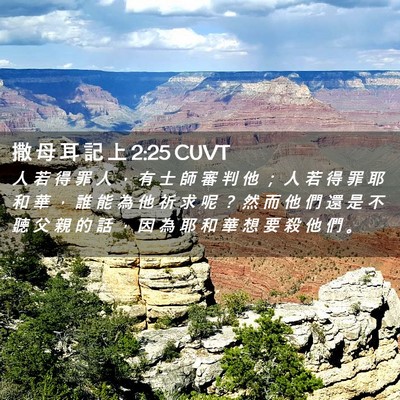 Picture 02 - 撒 母 耳 記 上 2:25 CUVT - 人 若 得 罪 人 ， 有 士 師 審 判 他 - Bible Verse Picture