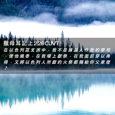 Picture 02 - 撒 母 耳 記 上 2:28 CUVT - 在 以 色 列 眾 支 派 中 ， 我 不 是 - Bible Verse Picture