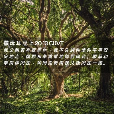 Picture 02 - 撒 母 耳 記 上 20:13 CUVT - 我 父 親 若 有 意 害 你 ， 我 不 告 - Bible Verse Picture