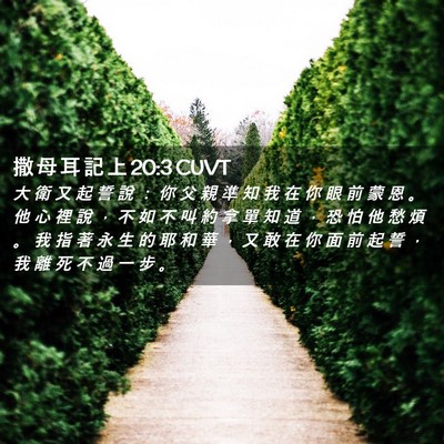Picture 02 - 撒 母 耳 記 上 20:3 CUVT - 大 衛 又 起 誓 說 ： 你 父 親 準 知 - Bible Verse Picture