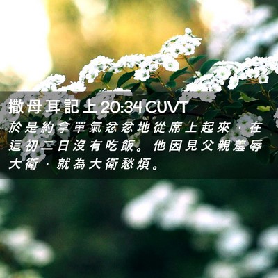 Picture 02 - 撒 母 耳 記 上 20:34 CUVT - 於 是 約 拿 單 氣 忿 忿 地 從 席 上 - Bible Verse Picture
