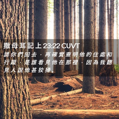 Picture 02 - 撒 母 耳 記 上 23:22 CUVT - 請 你 們 回 去 ， 再 確 實 查 明 他 - Bible Verse Picture