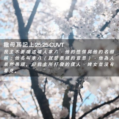 Picture 02 - 撒 母 耳 記 上 25:25 CUVT - 我 主 不 要 理 這 壞 人 拿 八 ， 他 - Bible Verse Picture