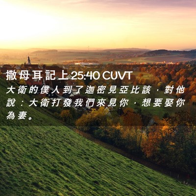 Picture 02 - 撒 母 耳 記 上 25:40 CUVT - 大 衛 的 僕 人 到 了 迦 密 見 亞 比 - Bible Verse Picture