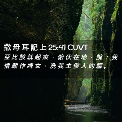Picture 02 - 撒 母 耳 記 上 25:41 CUVT - 亞 比 該 就 起 來 ， 俯 伏 在 地 ， - Bible Verse Picture