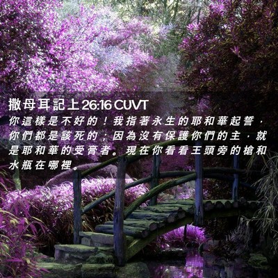 Picture 02 - 撒 母 耳 記 上 26:16 CUVT - 你 這 樣 是 不 好 的 ！ 我 指 著 永 - Bible Verse Picture