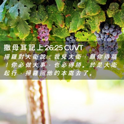 Picture 02 - 撒 母 耳 記 上 26:25 CUVT - 掃 羅 對 大 衛 說 ： 我 兒 大 衛 ， - Bible Verse Picture