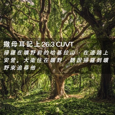 Picture 02 - 撒 母 耳 記 上 26:3 CUVT - 掃 羅 在 曠 野 前 的 哈 基 拉 山 ， - Bible Verse Picture