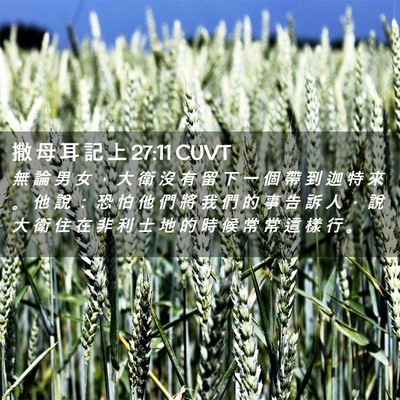 Picture 02 - 撒 母 耳 記 上 27:11 CUVT - 無 論 男 女 ， 大 衛 沒 有 留 下 一 - Bible Verse Picture